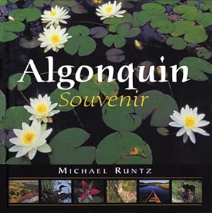Algonquin Souvenir