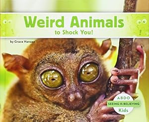 Weird Animals to Shock You!