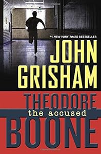 Theodore Boone: the Accused