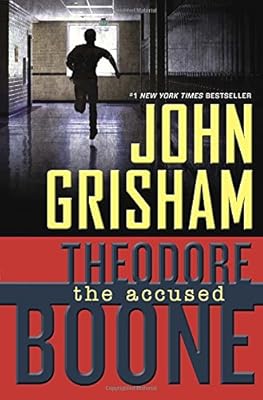 Theodore Boone: the Accused