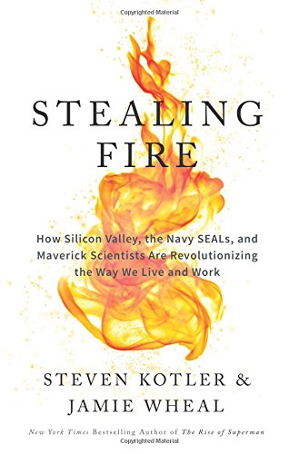 Stealing Fire: How Silicon Valley, the Navy SEALs, and Maverick Scientists Are Revolutionizing the Way We Live and Work by Steven Kotler
