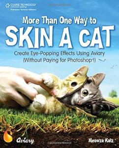 More Than One Way to Skin a Cat: Create Eye-Popping Effects Using Aviary (Without Paying for Photoshop!) by Meowza (Meowza Katz ) Katz