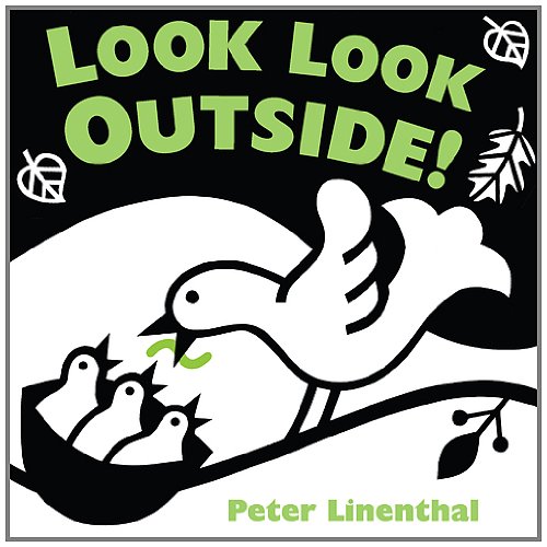 Look Look Outside by Peter Linenthal