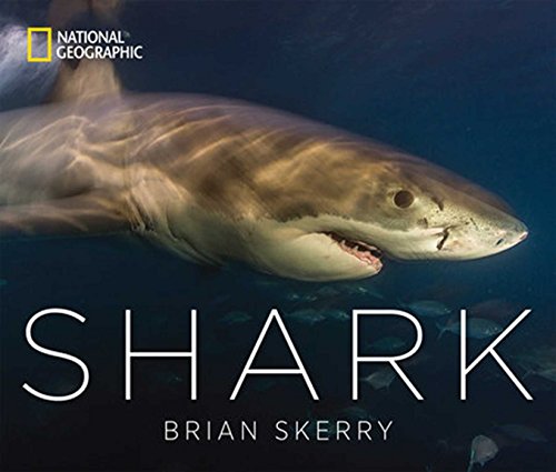 Shark by Brian Skerry