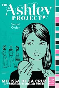 Social Order (The Ashley Project)