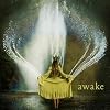 Awake