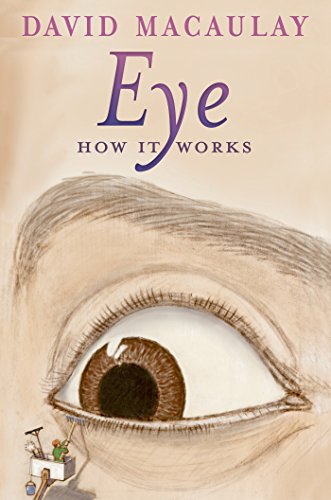 Eye: How It Works by Sheila Keenan