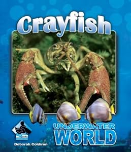 Crayfish by Deborah Coldiron