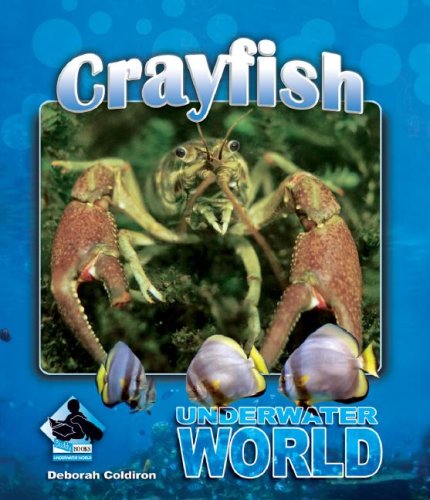 Crayfish by Deborah Coldiron