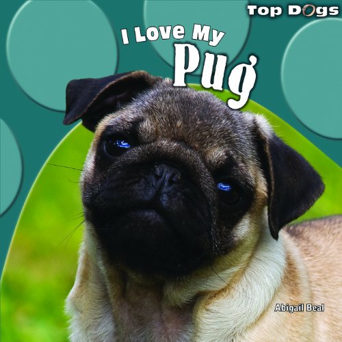 I Love My Pug by Abigail Beal