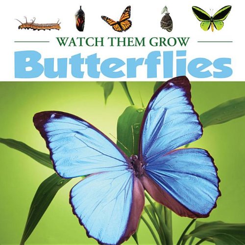 Butterflies by Nick Winnick