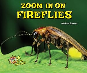 Zoom in on Fireflies