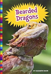 Bearded Dragons