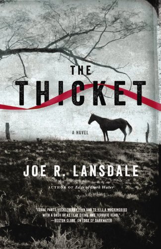 The Thicket by Joe R. Lansdale