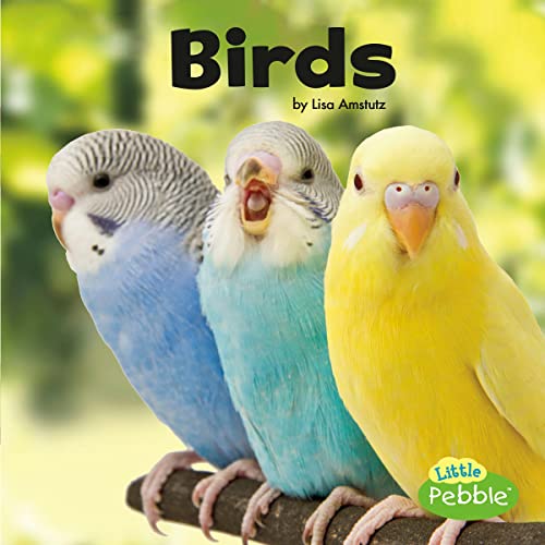 Birds: Our Pets by Lisa J. Amstutz