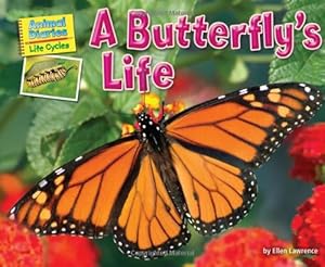 A Butterfly's Life