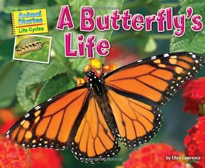 A Butterfly's Life