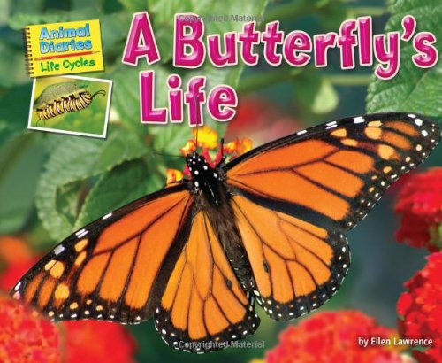 A Butterfly's Life by Ellen Lawrence