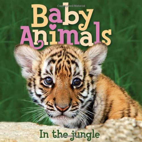 Baby Animals In the Jungle by Editors of Kingfisher