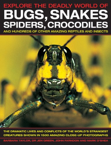 Explore the Deadly World of Bugs, Snakes, Spiders, Crocodiles by Barbara Taylor