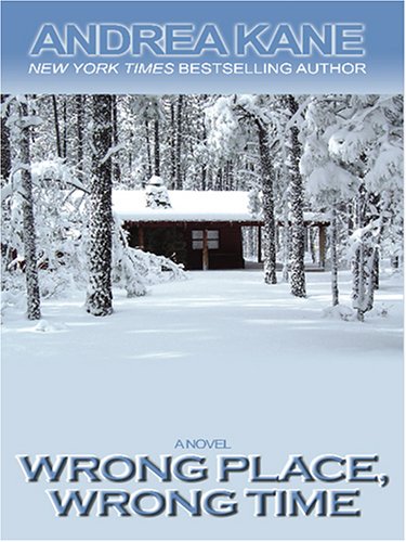 Wrong Place, Wrong Time by Andrea Kane