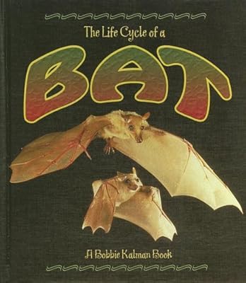 Bat (Life Cycle of A...)