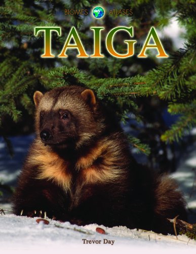 Taiga by Trevor Day