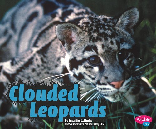 Clouded Leopards by Jennifer L. Marks