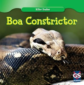 Boa Constrictor by Cede Jones