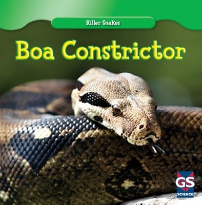 Boa Constrictor
