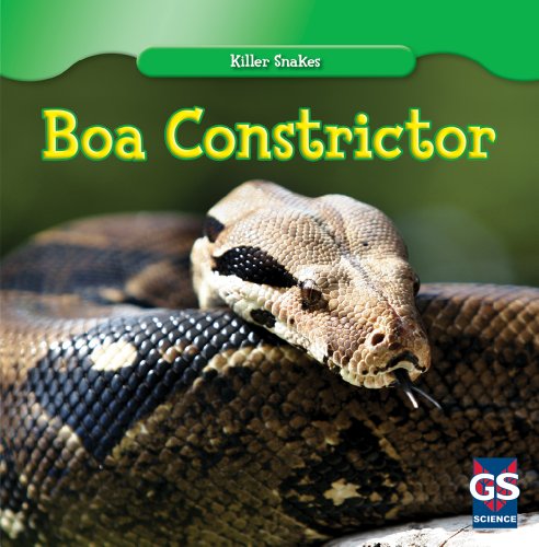 Boa Constrictor by Cede Jones