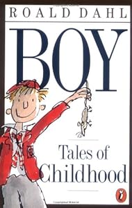 Boy: Tales of Childhood
