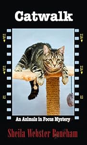 Catwalk