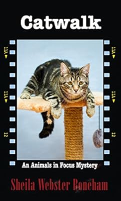 Catwalk
