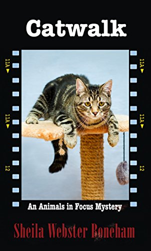 Catwalk by Sheila Webster Boneham