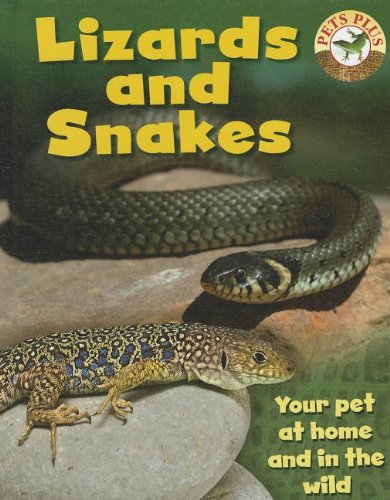 Lizards and Snakes by Sally Morgan
