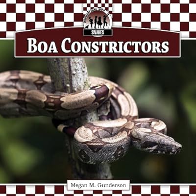 Boa Constrictors