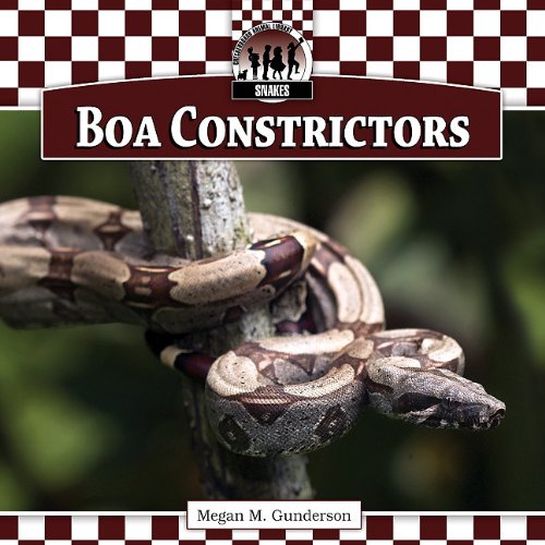 Boa Constrictors by Megan M. Gunderson