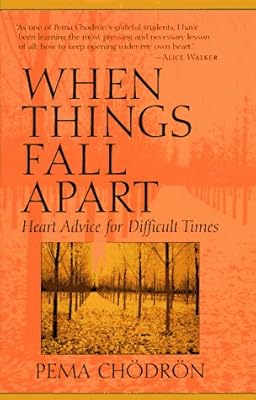 When Things Fall Apart: Heart Advice for Difficult Times