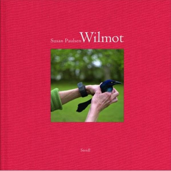 Wilmot by Susan Paulsen