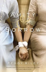 Amity &amp; Sorrow: A Novel