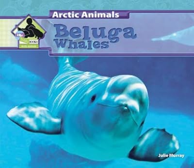 Beluga Whales