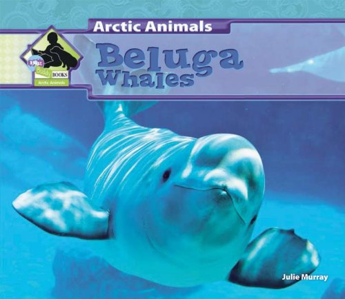 Beluga Whales by Julie Murray