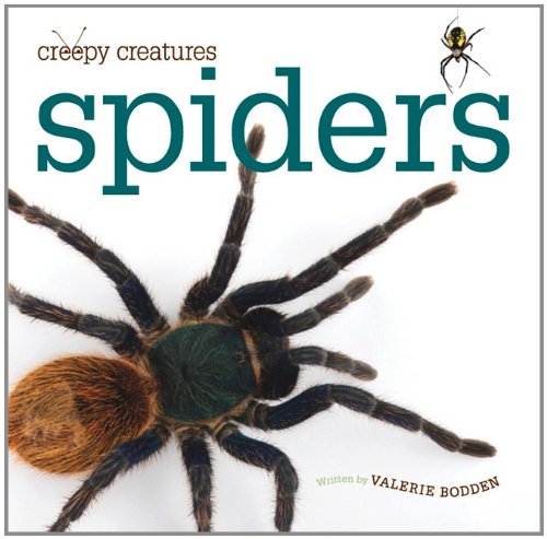 Spiders by Valerie Bodden