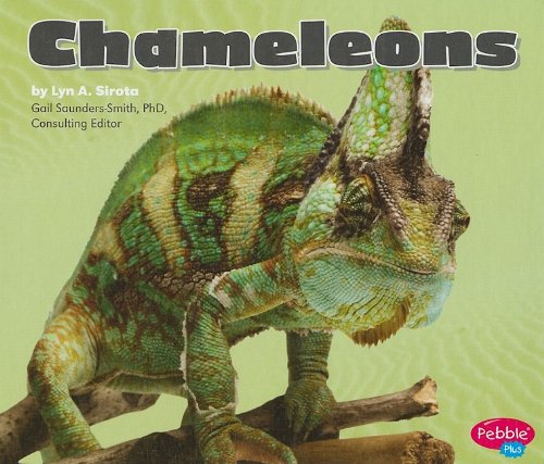 Chameleons by Lyn A. Sirota