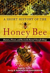 A Short History of the Honey Bee: Humans, Flowers, and Bees in the Eternal Chase for Honey by Ilona McCarty