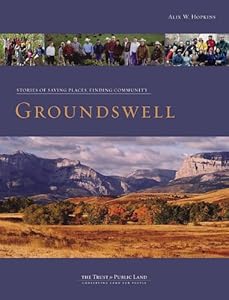 Groundswell: Stories of Saving Places, Finding Community by Alix W. Hopkins