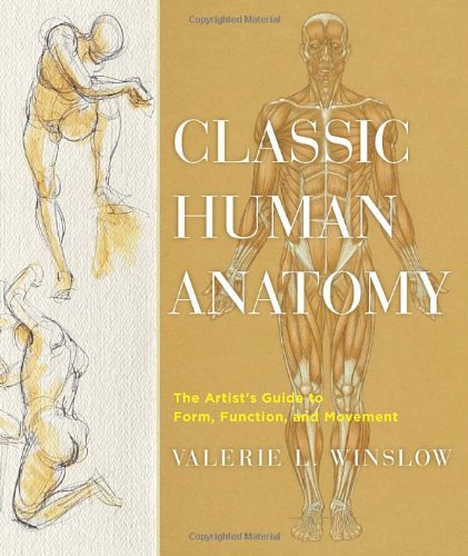 Classic Human Anatomy: The Artist's Guide to Form, Function, and Movement by Valerie L Winslow