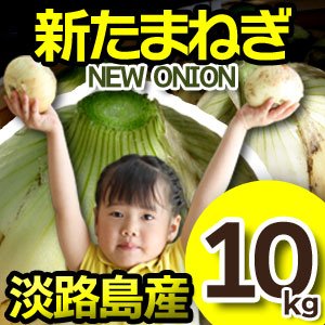 新玉ねぎ 淡路島 極早生種 大小混合 10kg