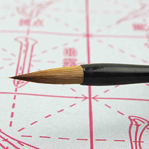Gridded Magic Cloth Water-Writing for Practicing Chinese Calligraphy or Kanji